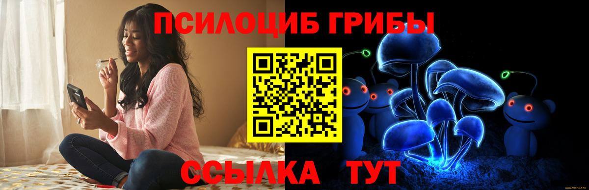 Тулун  Псилоцибиновые грибы Psilocybe  Вход с VPN 